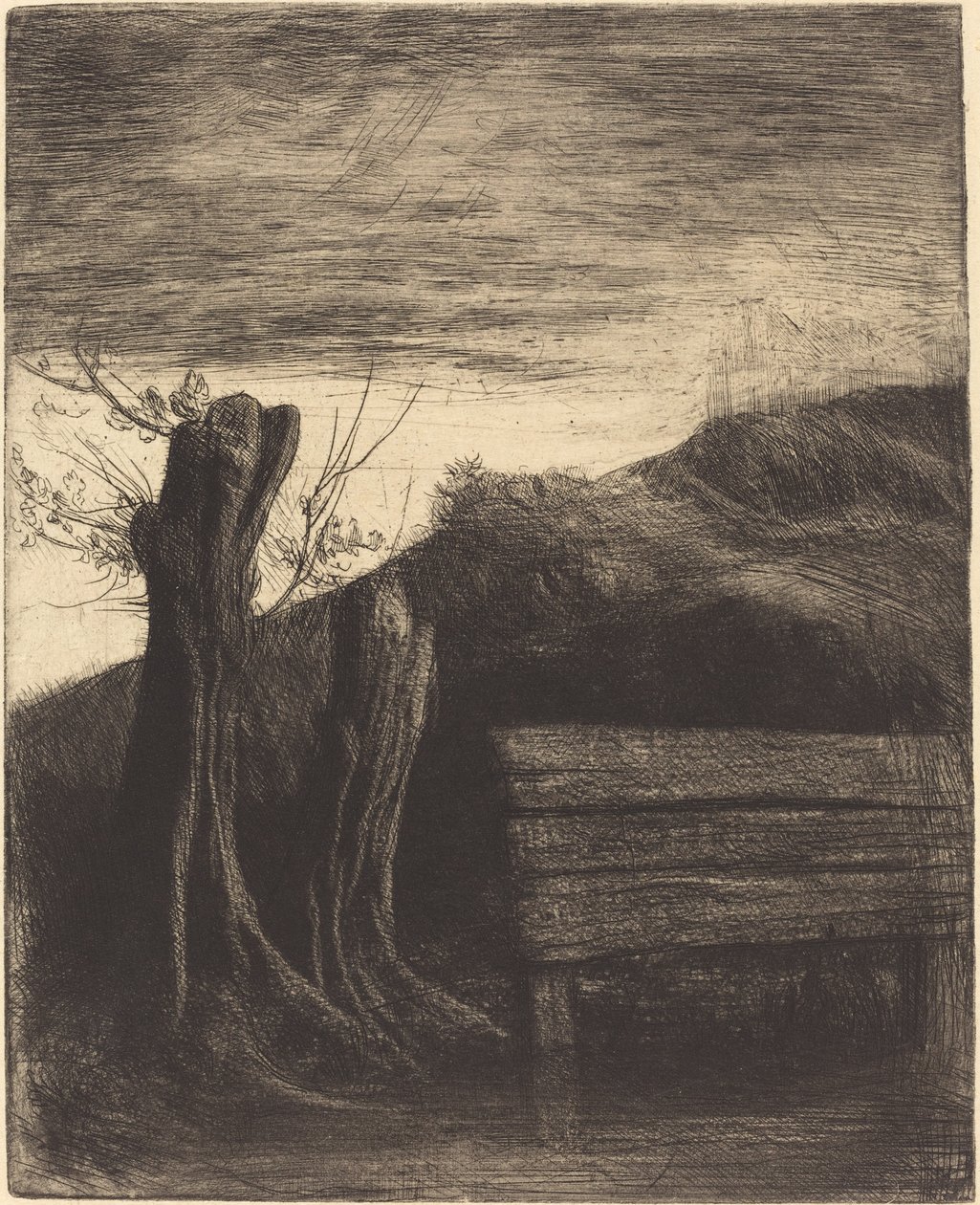 Salici capitozzati da Alphonse Legros