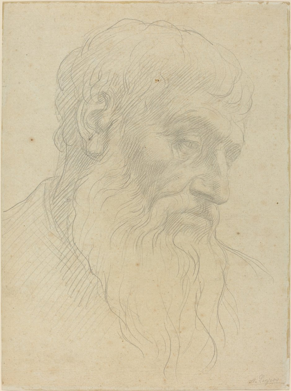 Studio di una testa da Alphonse Legros