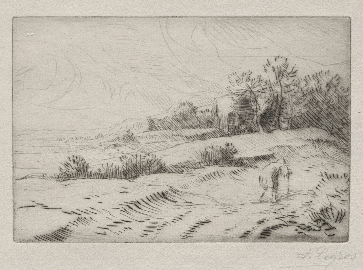 La torre da Alphonse Legros