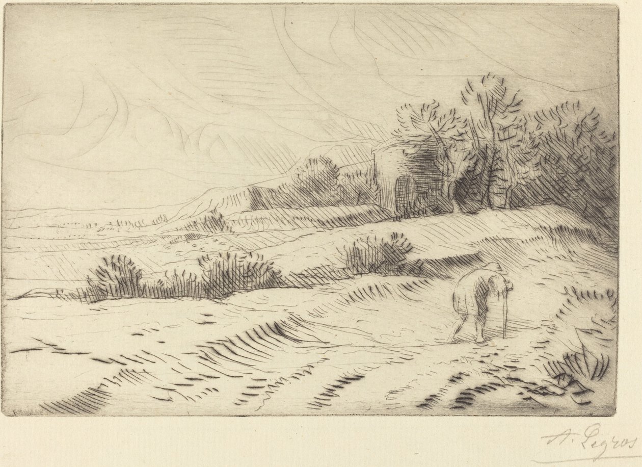 Torre da Alphonse Legros