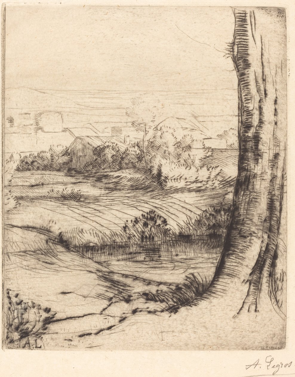 Vista delle canne Coin de roseau da Alphonse Legros