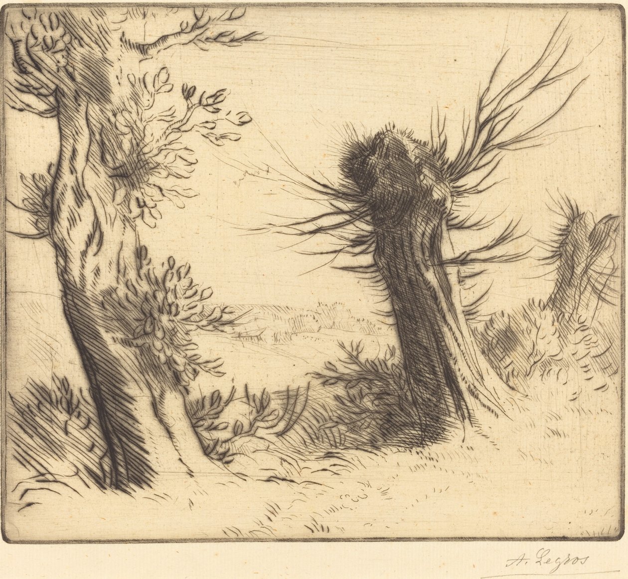 Les saules da Alphonse Legros