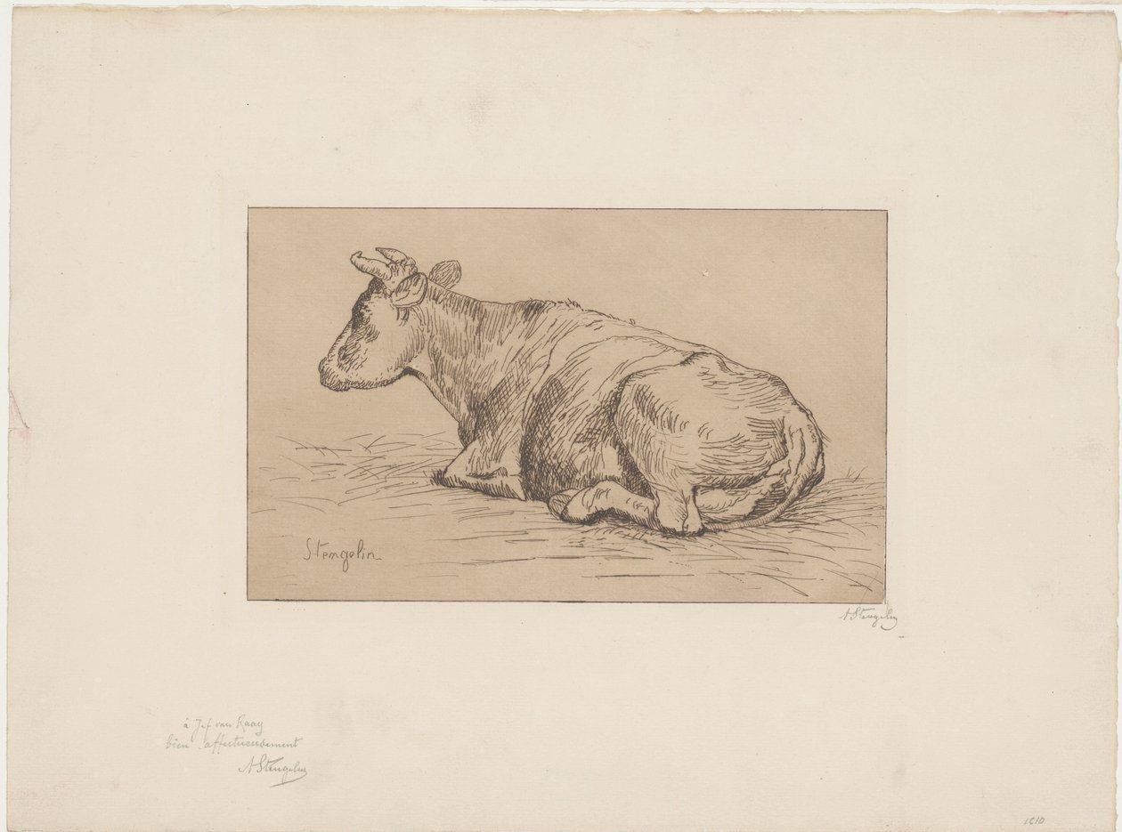 Mucca sdraiata da Alphonse Stengelin (signed by artist)