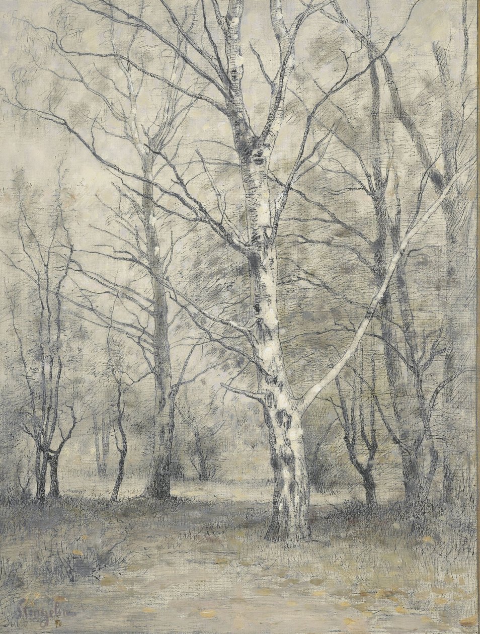 Bosco con betulle da Alphonse Stengelin
