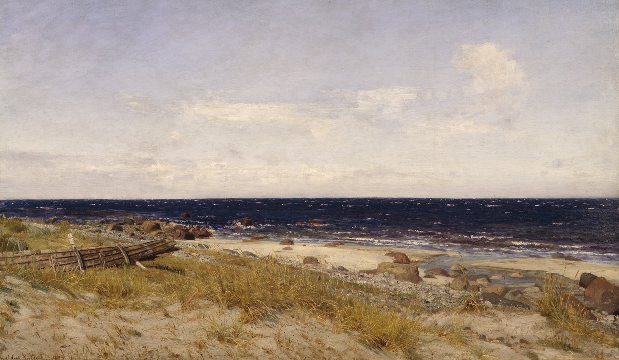 Acqua dolce da Amaldus Nielsen