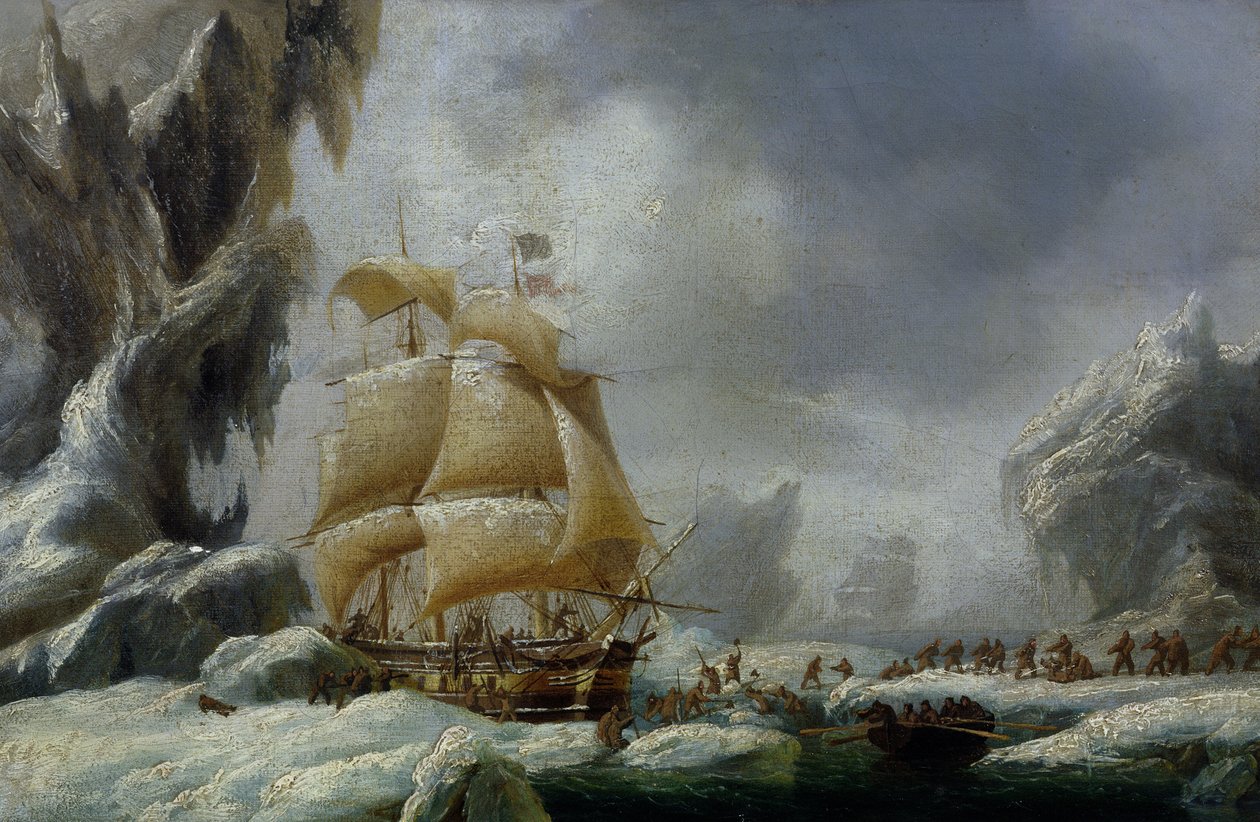 La nave di Jules Dumont d