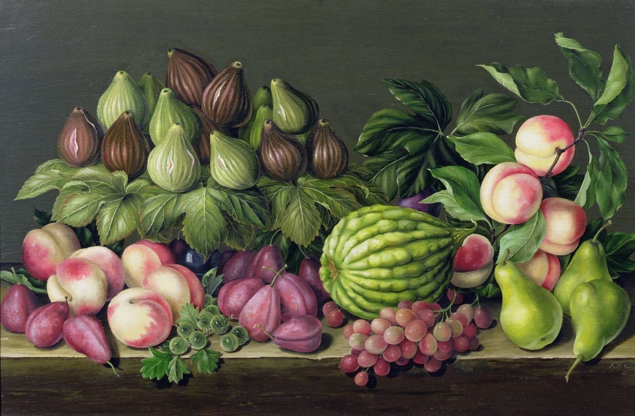 Fichi, melone e uva spina, 1998 da Amelia Kleiser