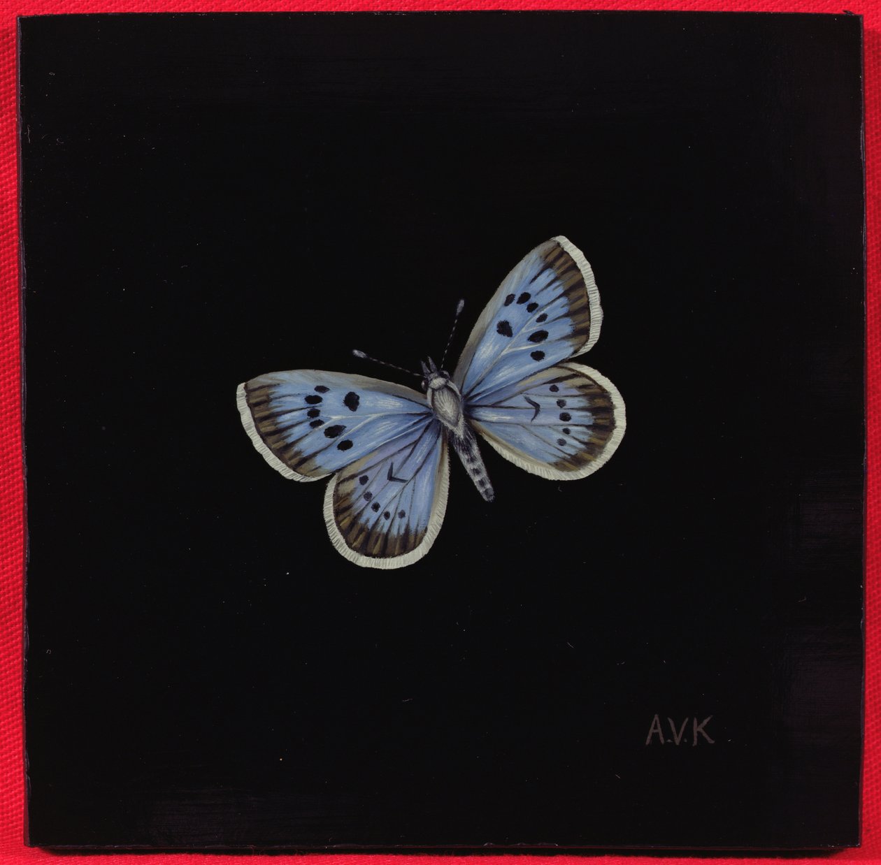 Farfalla Lycaena dispar, 2000 da Amelia Kleiser