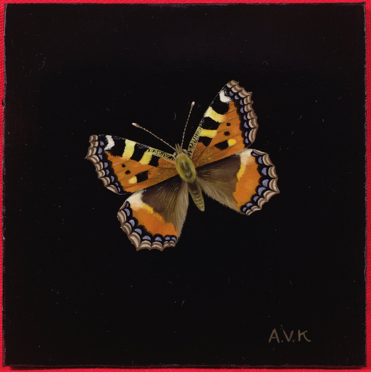 Farfalla Vanessa, 1998 da Amelia Kleiser