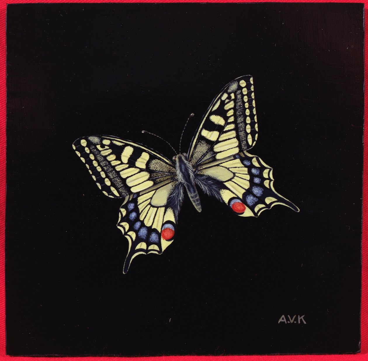 Farfalla Macaone, 1999 da Amelia Kleiser