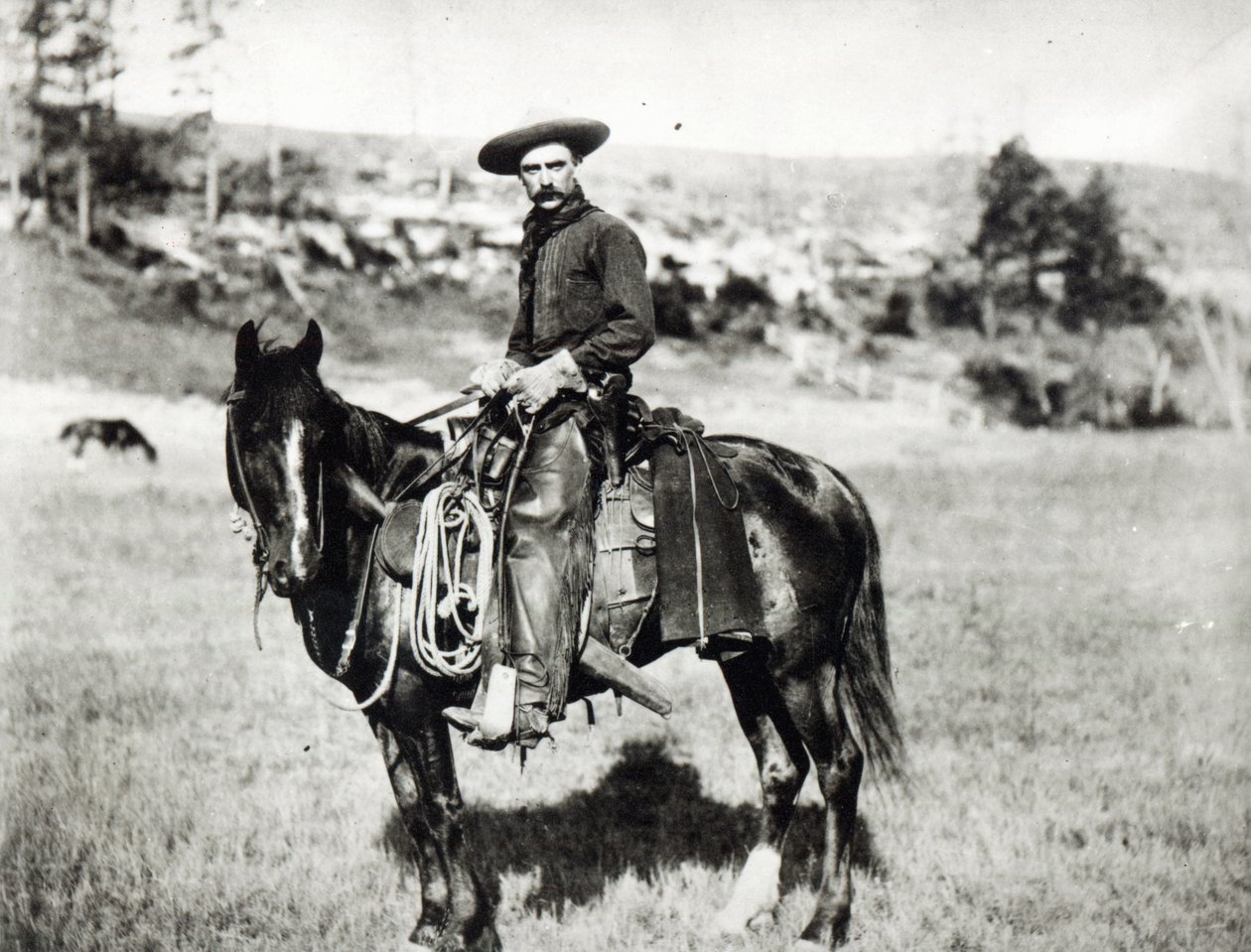 Cowboy che cavalca un cavallo in Montana, USA, c. 1880 da American Photographer
