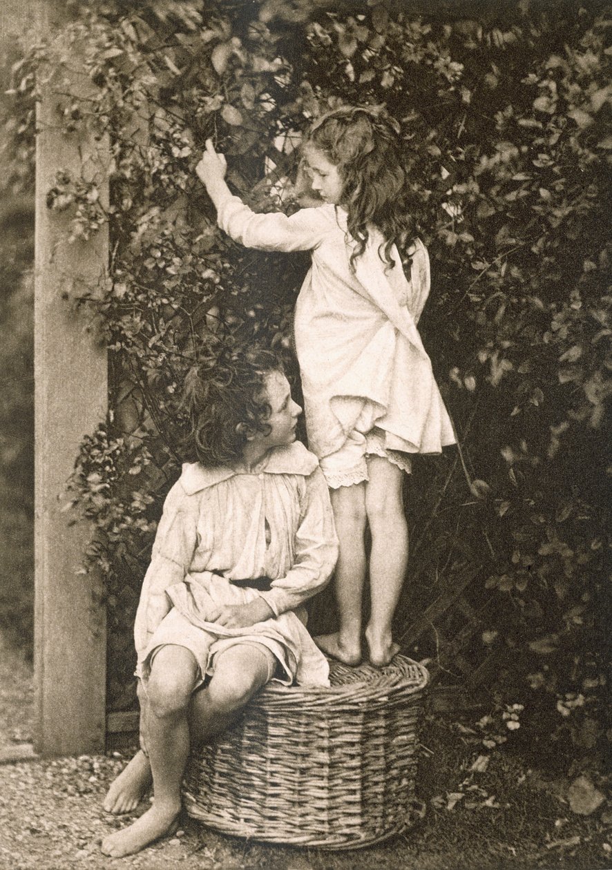Il Giardino Estivo, da Sun Artists: A Serial of Artistic Photography, pubblicato da Kegan Paul, Trench Trubner, Londra, 1889-91 da American Photographer