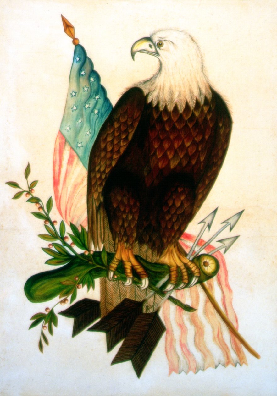 Aquila calva con bandiera da American School