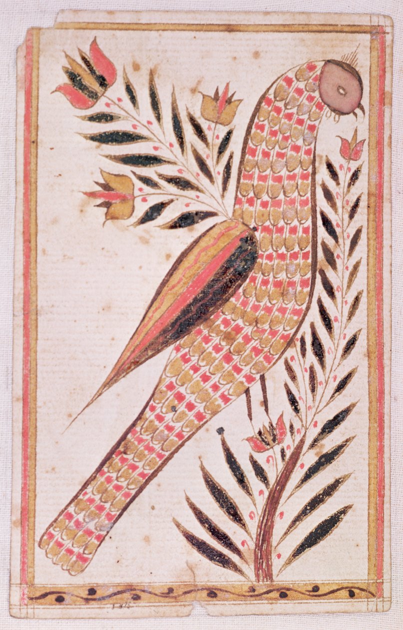 Uccello da American School