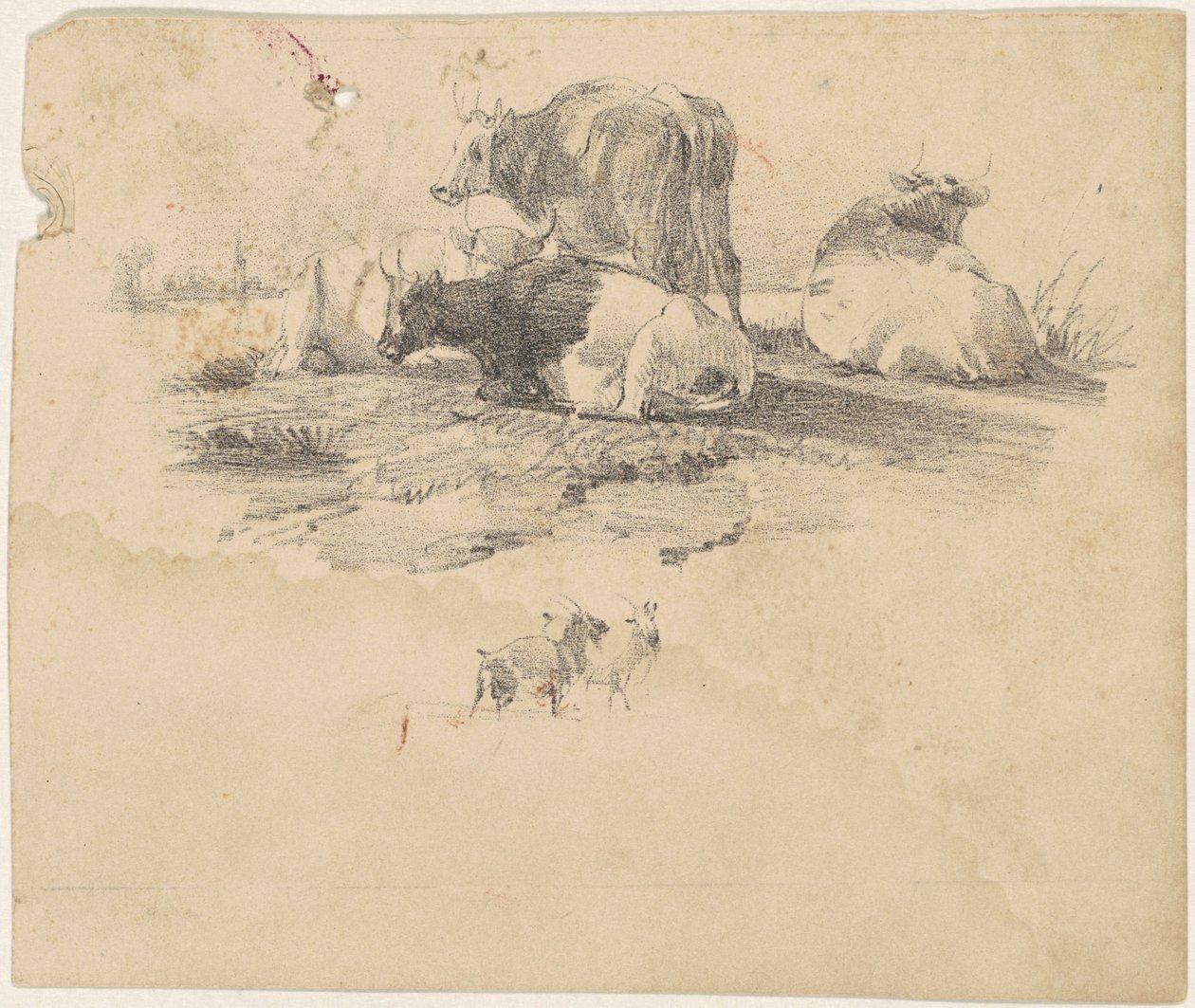 Mandria di Bovini da American 19th Century