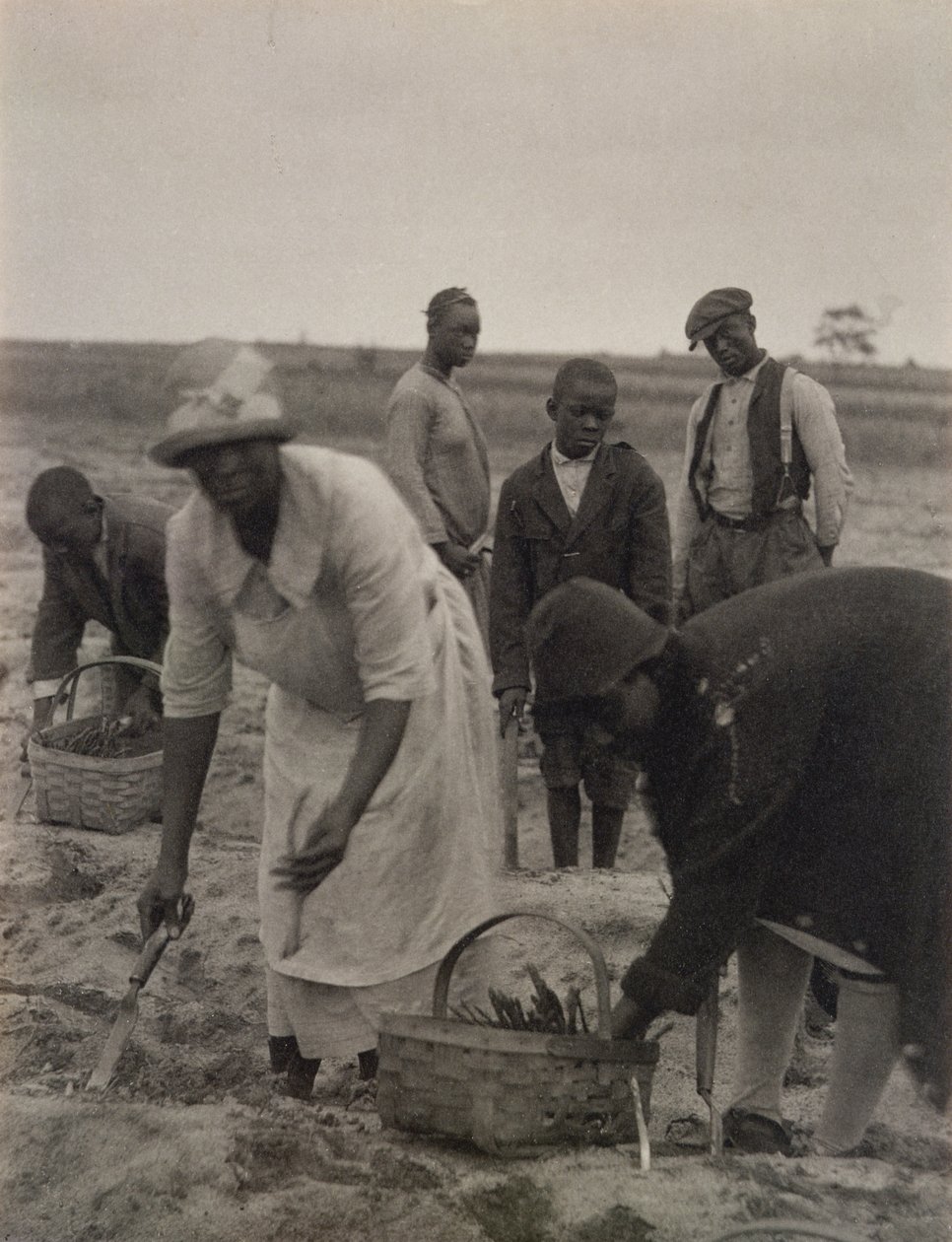 Lavoro nei campi da American Photographer