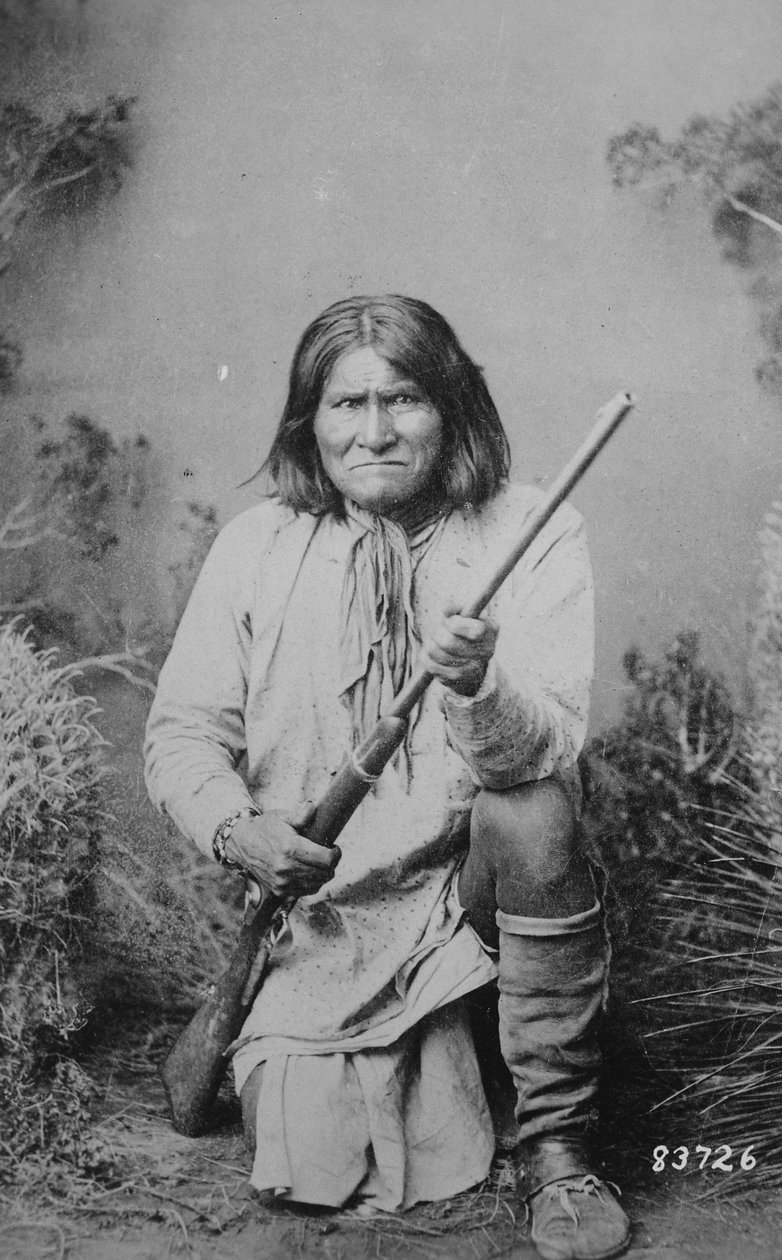 Geronimo con un fucile, 1884 da American Photographer