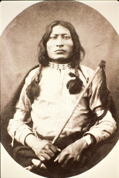 One Bull da American Photographer