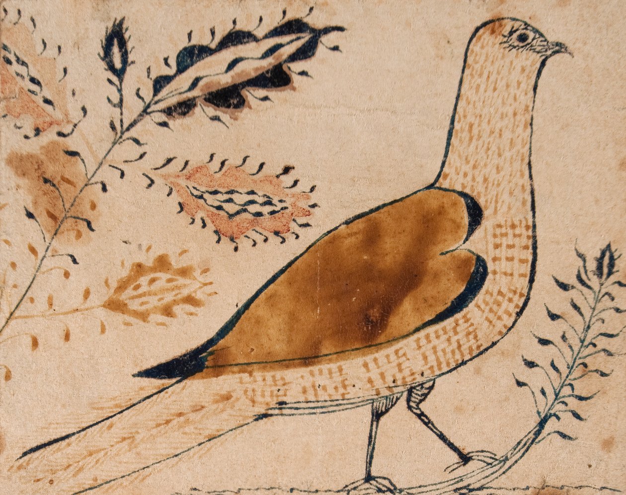 Uccello da American School
