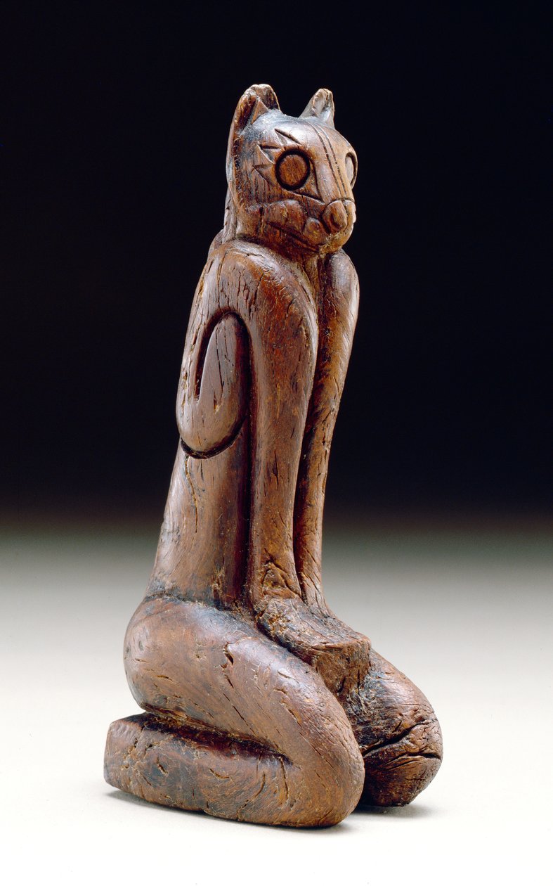 Figura felina, Calusa da American School