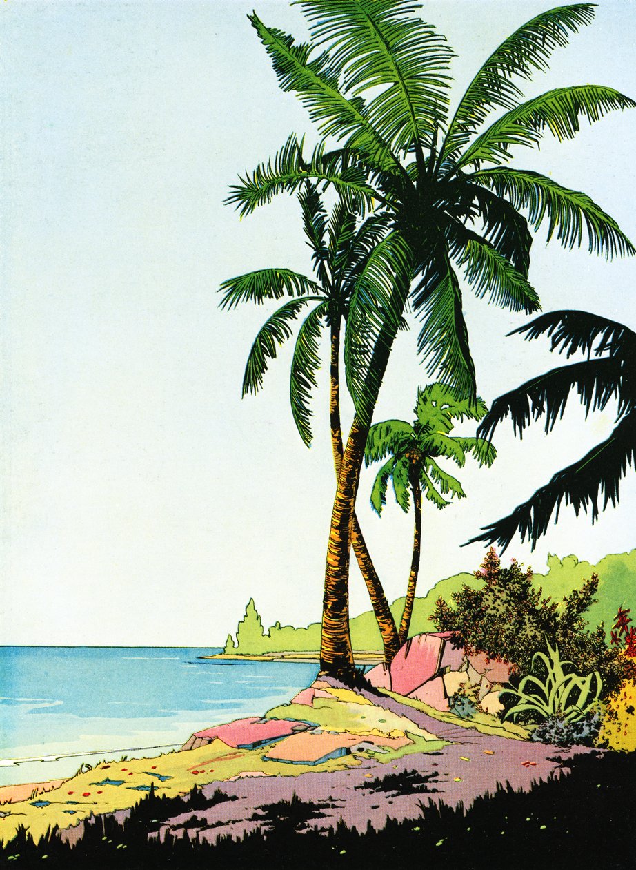 Illustrazione di un paradiso sulla spiaggia con palme da American School