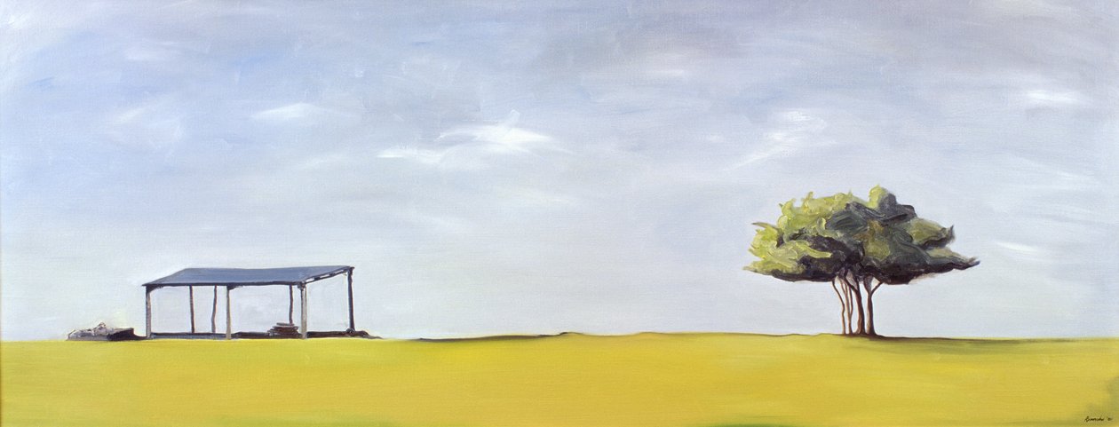 Su Minchinhampton da Ana Bianchi