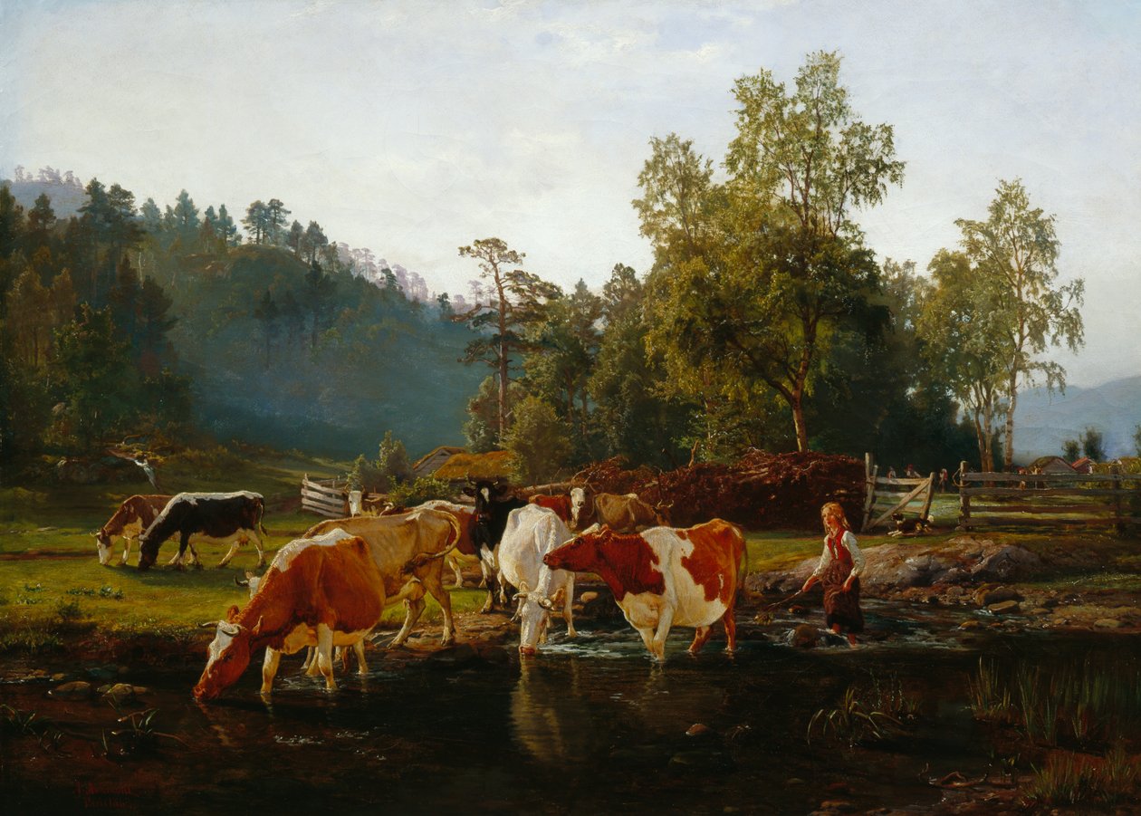 Mucche vicino al fiume da Anders Askevold