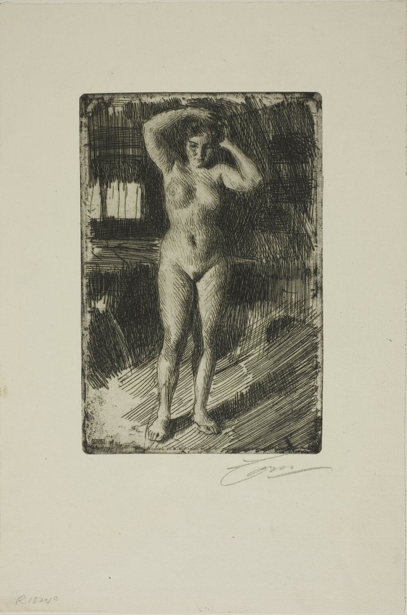 Anna che si pettina da Anders Leonard Zorn