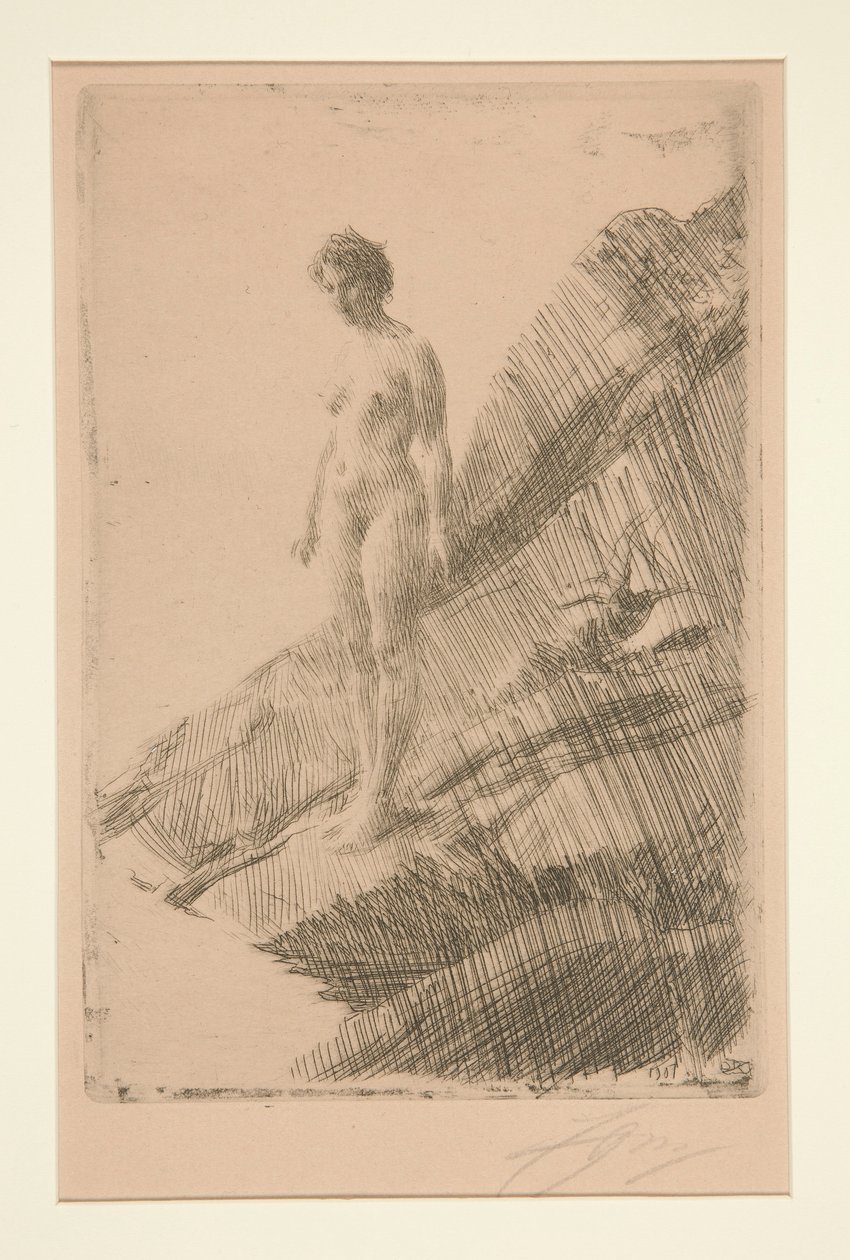 Edo da Anders Leonard Zorn