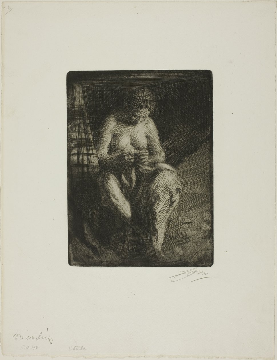 Rammendo da Anders Leonard Zorn