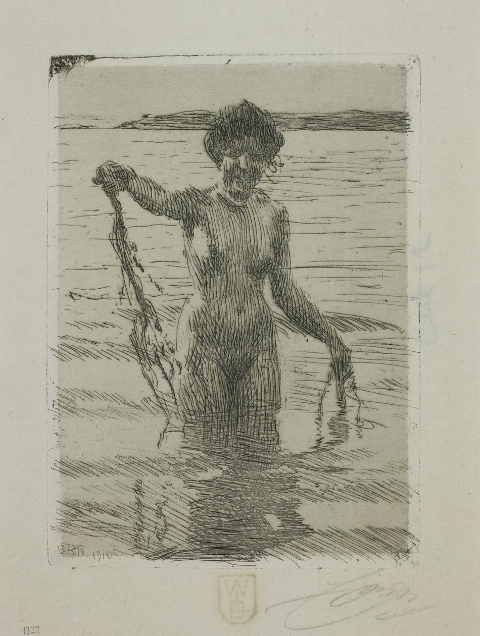 Alghe da Anders Leonard Zorn