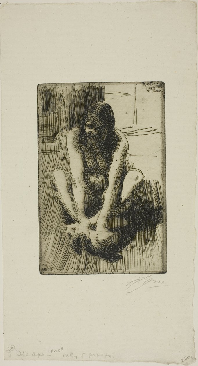 La rana da Anders Leonard Zorn