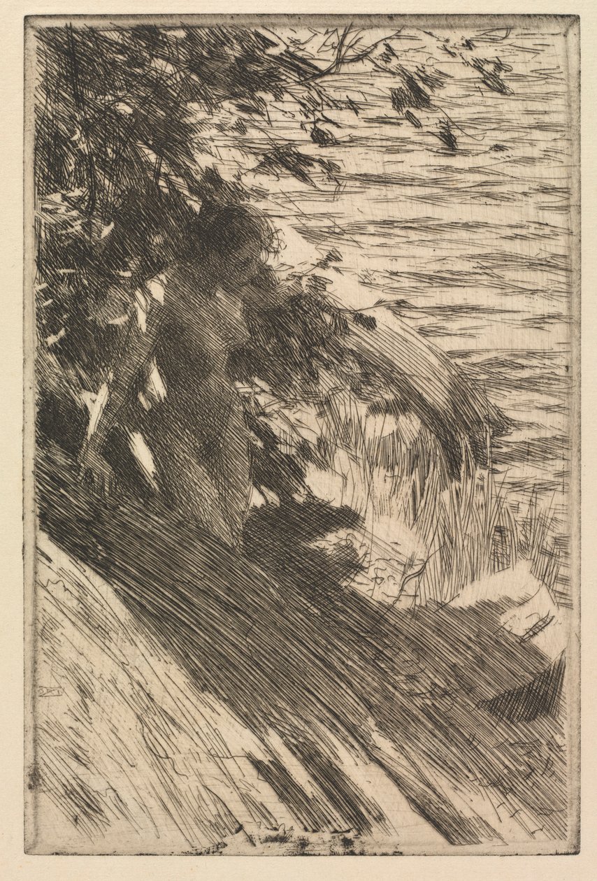 Il grande bagnante, 1895 da Anders Leonard Zorn