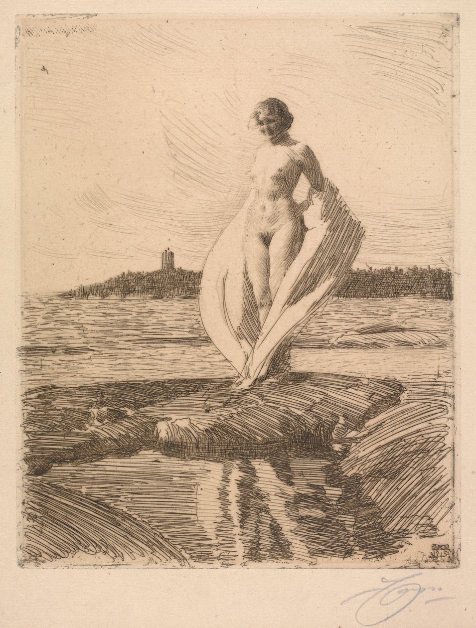 Il Cigno da Anders Leonard Zorn