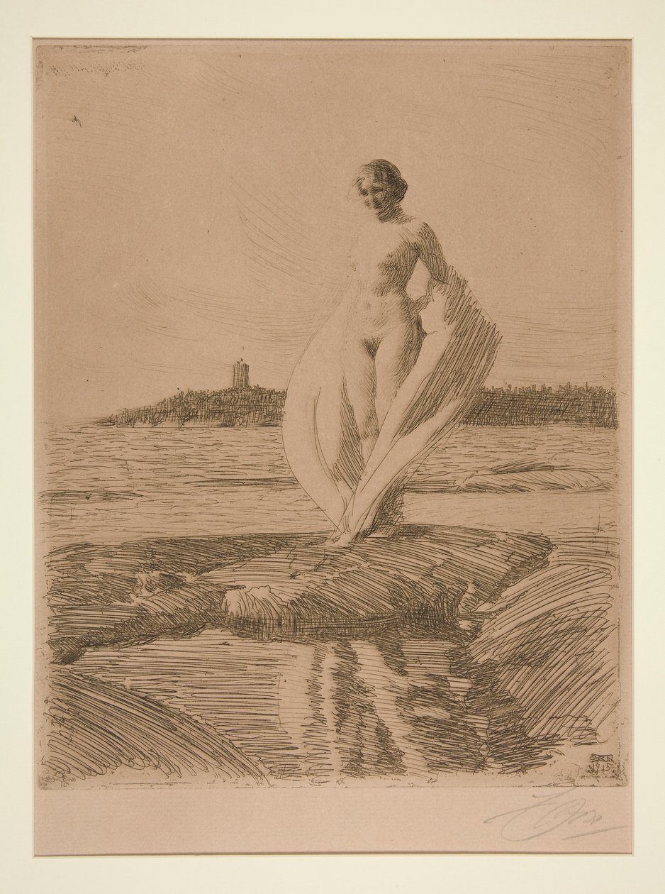 Il cigno da Anders Leonard Zorn