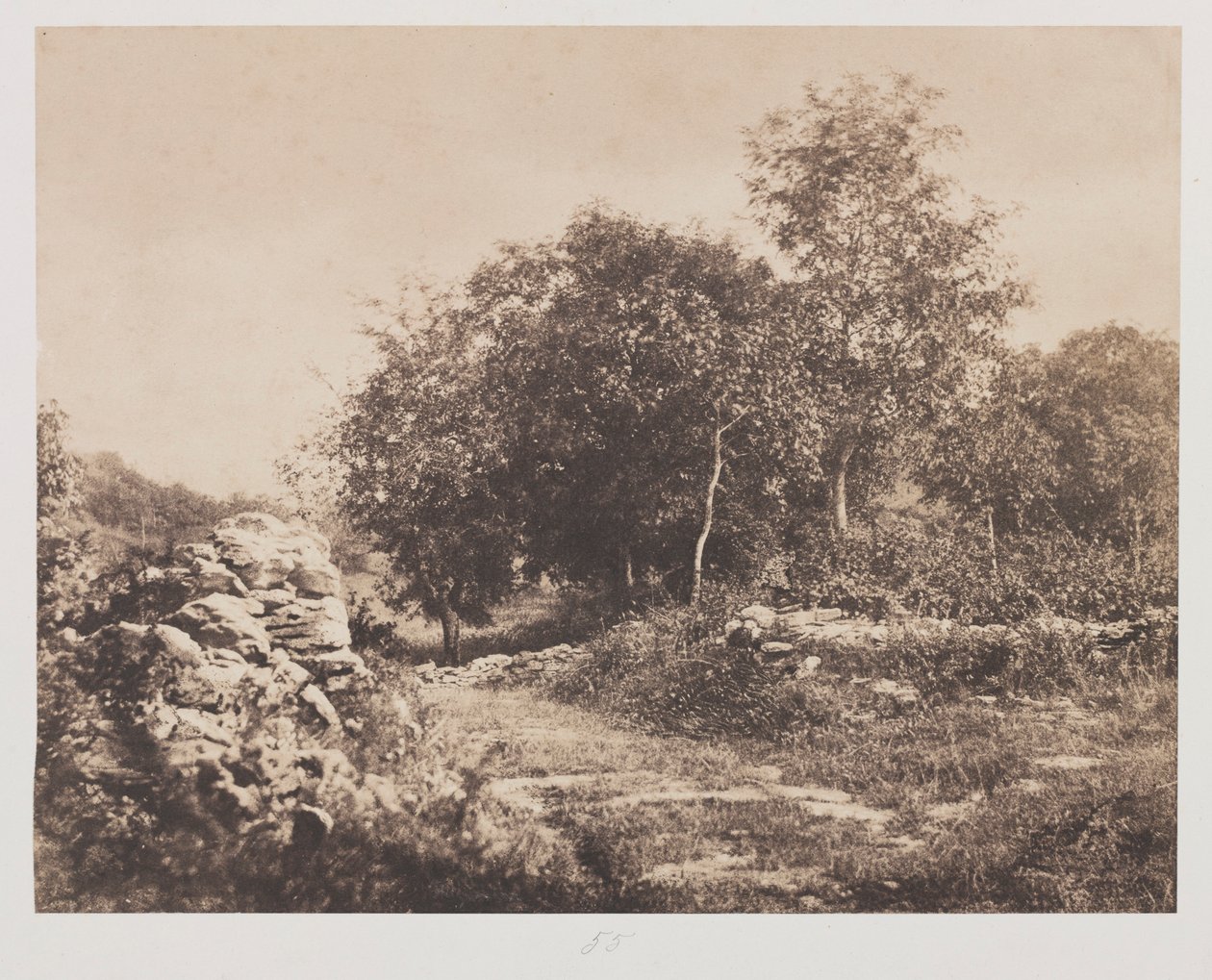 Scena senza titolo di Fontainbleau, c. 1853 da André Giroux