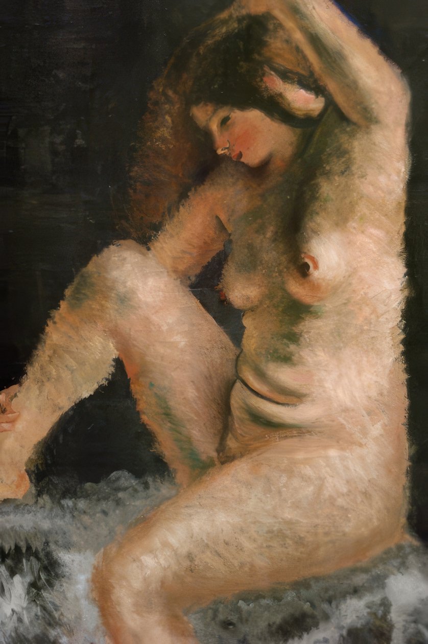 La bella modella da Andre Derain