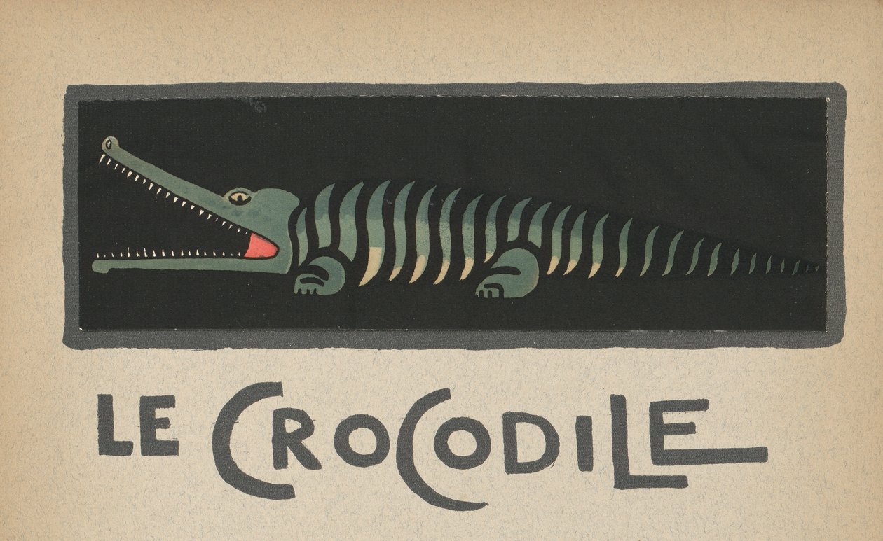 Il coccodrillo