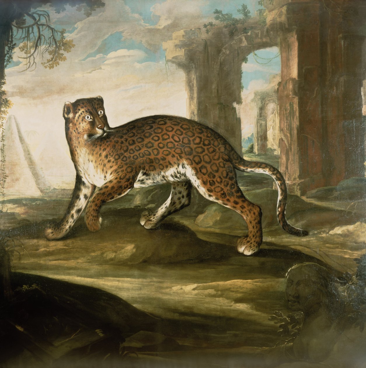 Un giaguaro da Andrea the Elder Scacciati