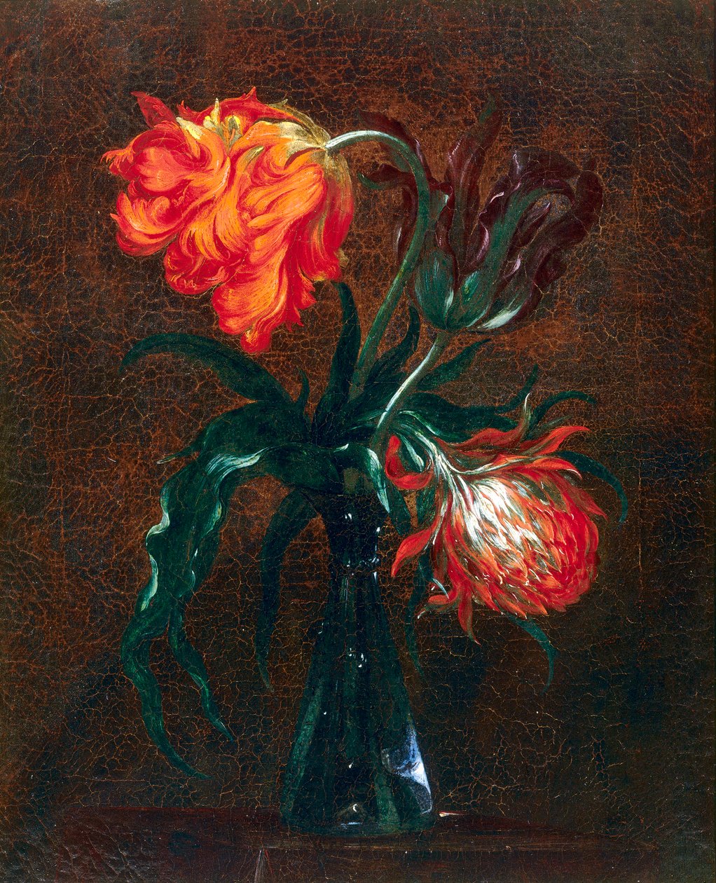 Vaso di vetro con due tulipani da Andrea the Elder Scacciati