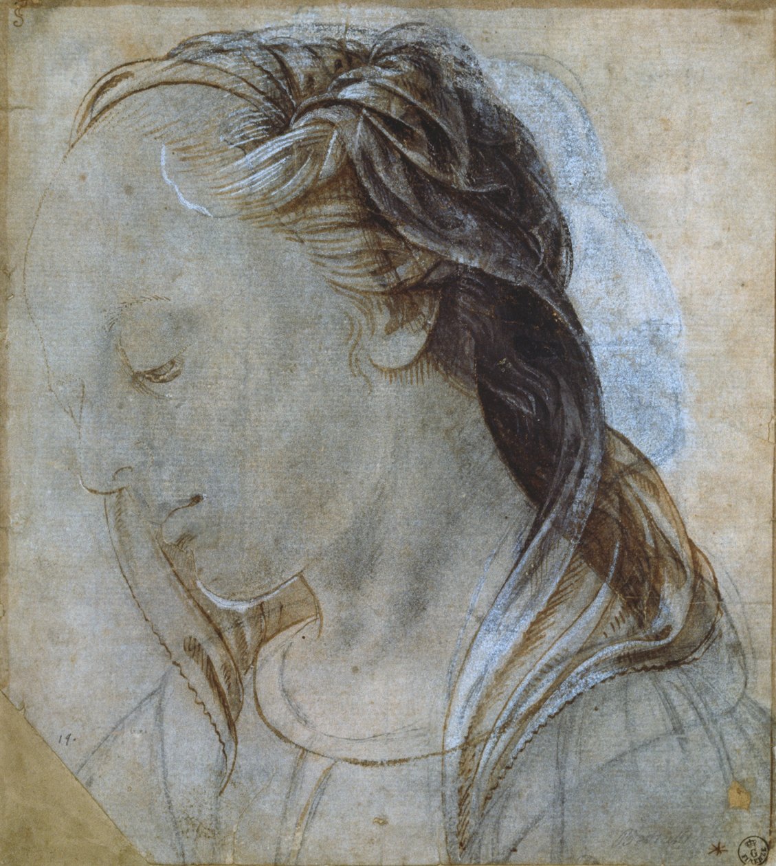 Testa femminile da Andrea Verrocchio