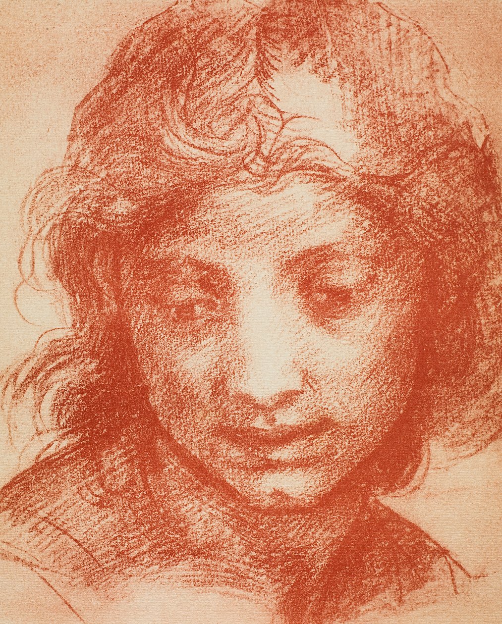 Testa di ragazzo da Andrea del Sarto