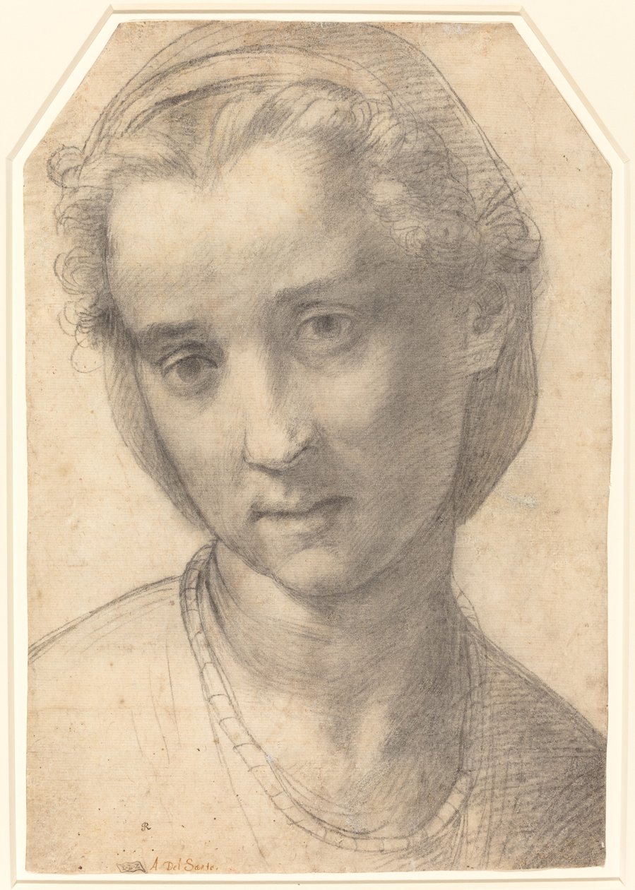 Testa di donna da Andrea del Sarto