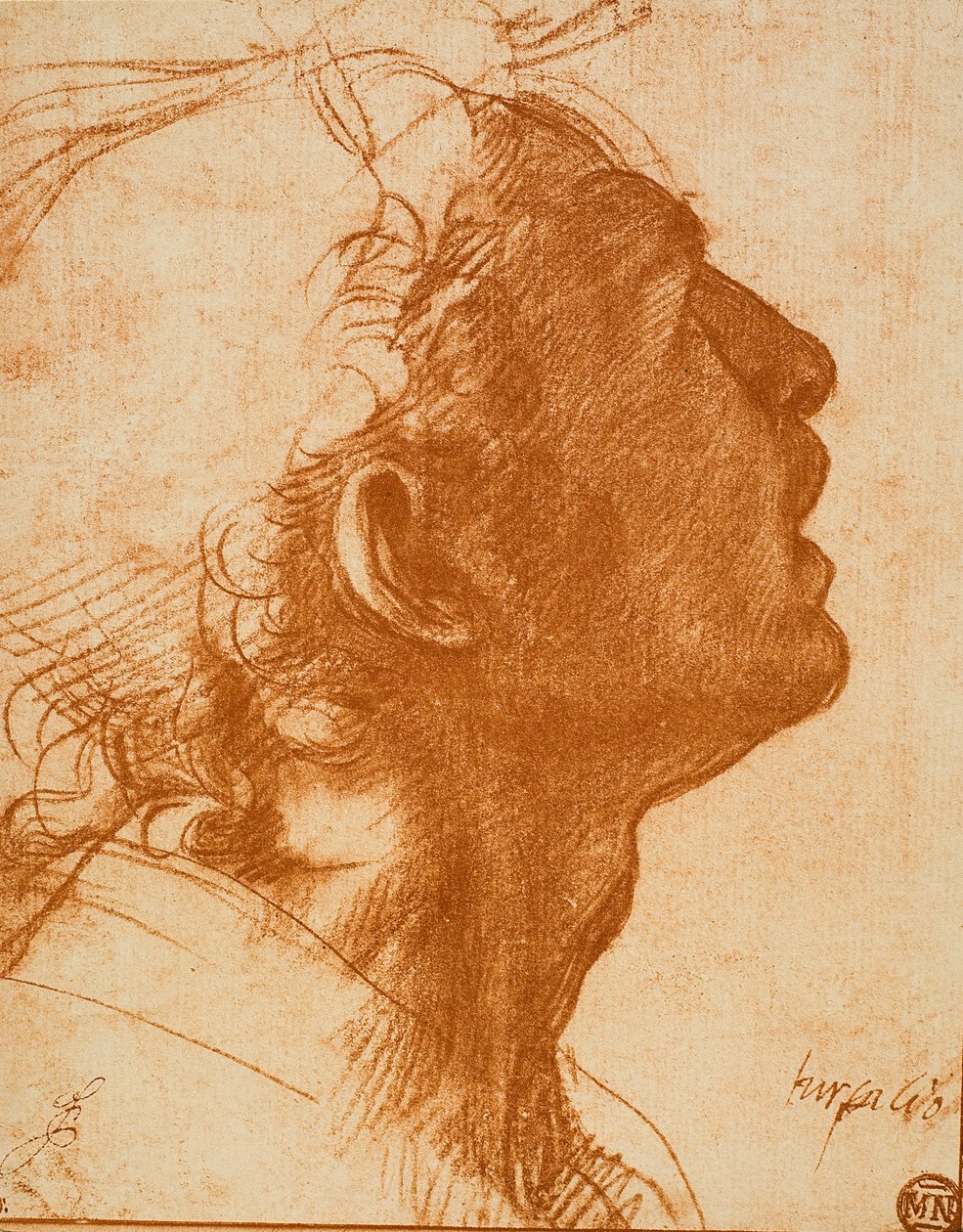 Testa maschile da Andrea del Sarto