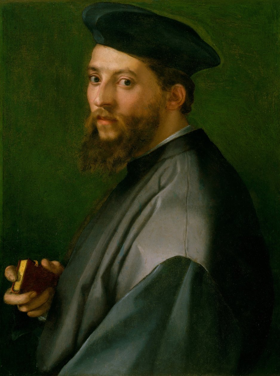 Ritratto di un uomo da Andrea del Sarto