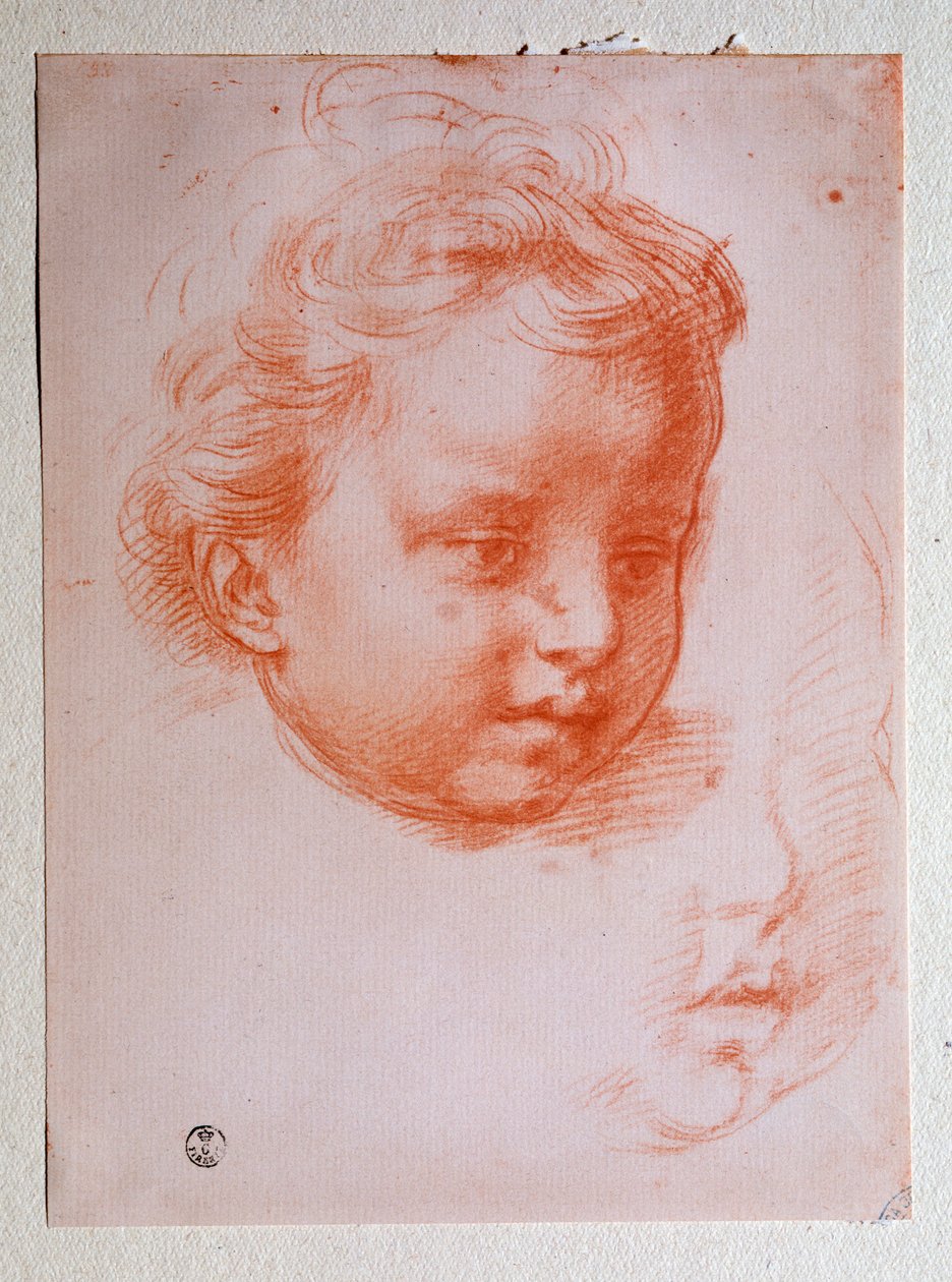 Testa di putto da Andrea del Sarto