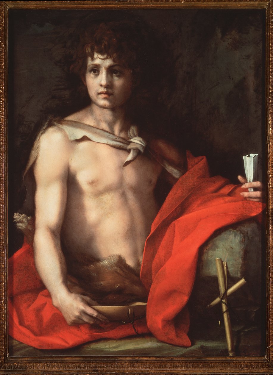 San Giovanni Battista da Andrea del Sarto