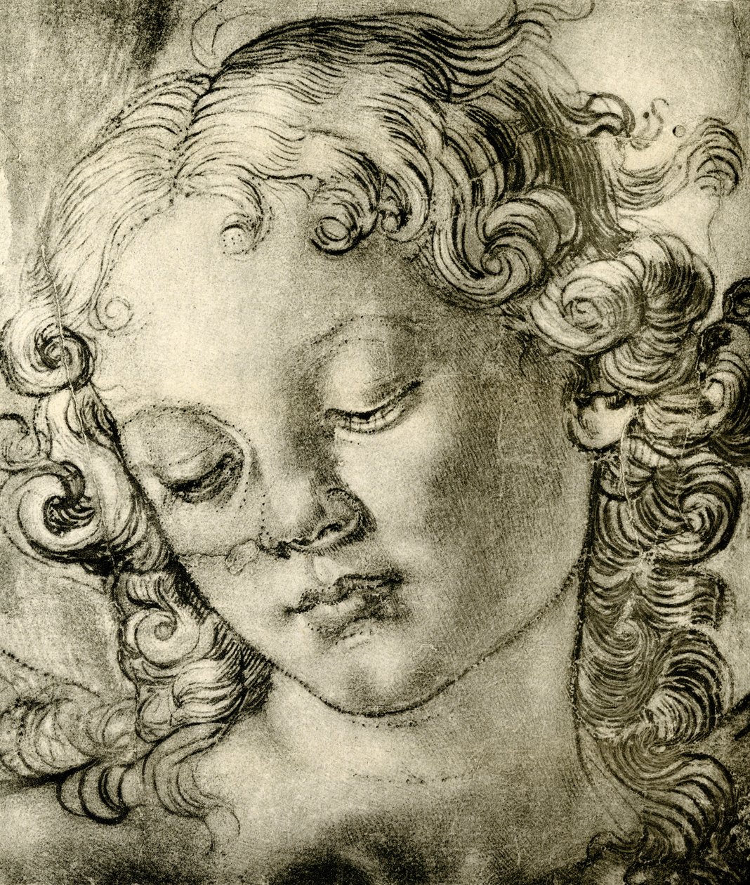 Testa di angelo da Andrea del Verrocchio