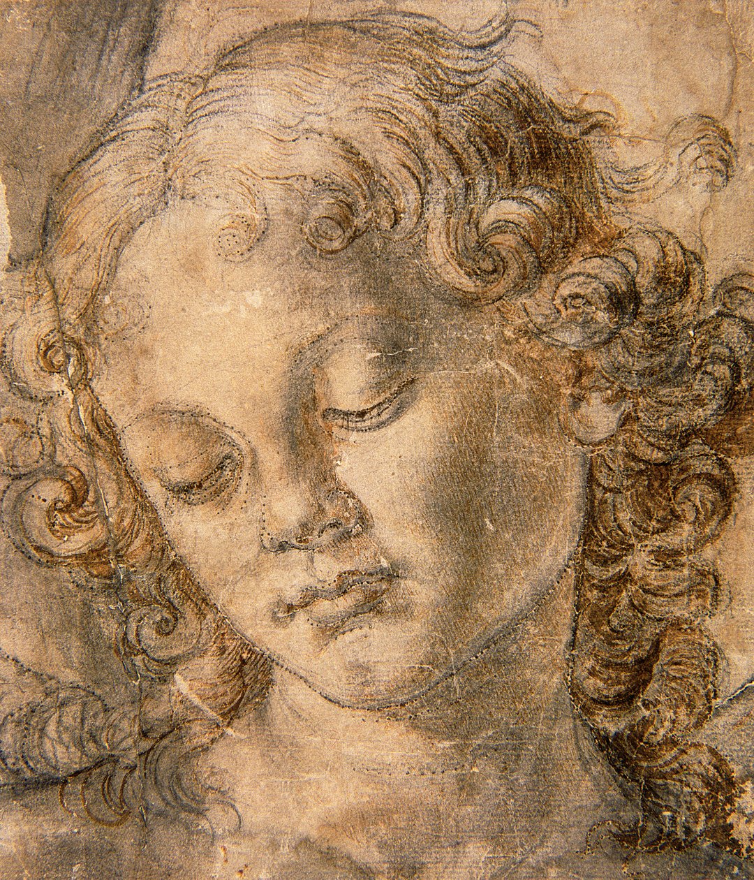Testa di angelo da Andrea del Verrocchio
