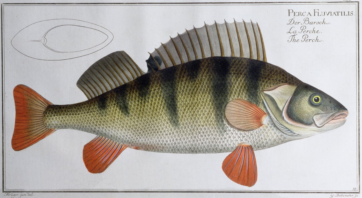 Persico: pubblicato da Black, c.1790 da Andreas Ludwig Kruger